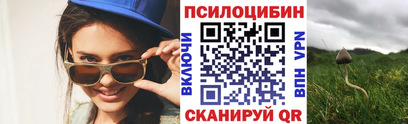 хочу наркоту  Сосновка  мориарти как зайти  Галлюциногенные грибы GOLDEN TEACHER 